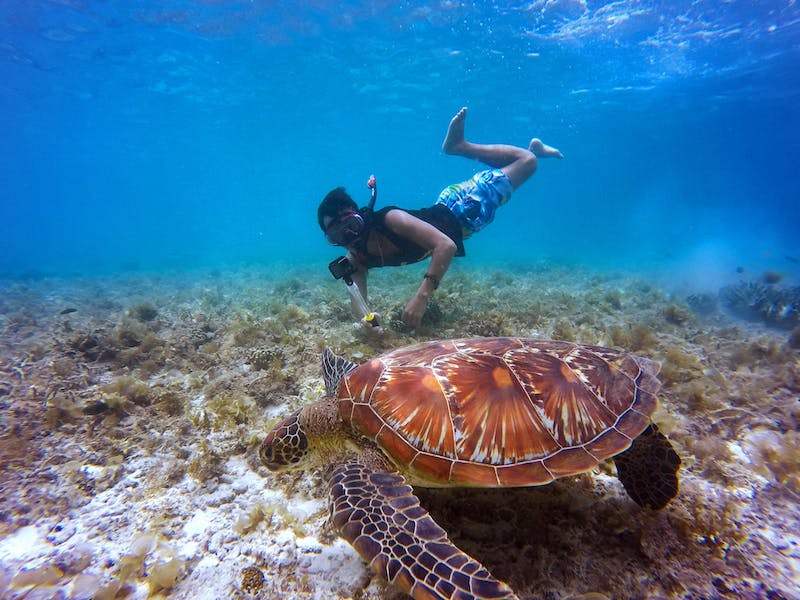 Isole Caraibi - Snorkeing