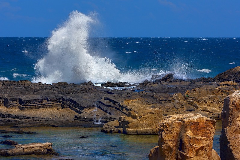 Favignana