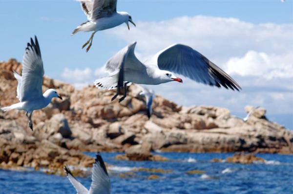 Parco nazionale La Maddalena