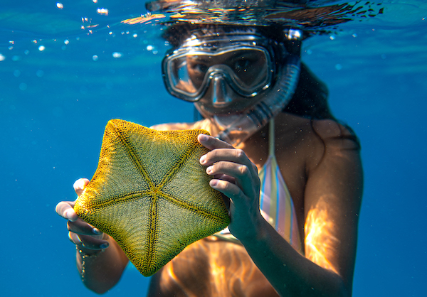 Snorkeling ai Caraibi